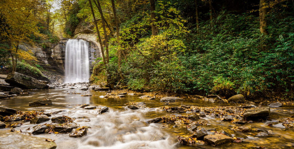 Four Waterfall Hikes Near Brevard, NC