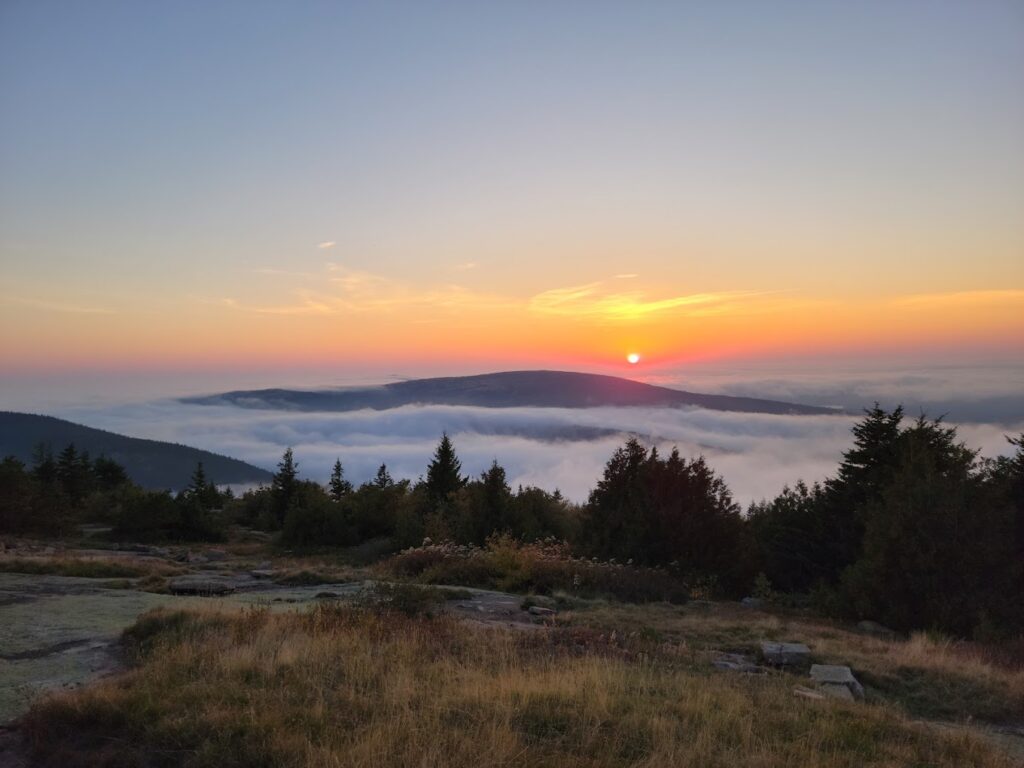 E-bikes in Acadia National Park