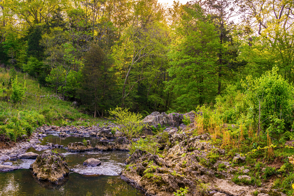 Chapel Hill Adventure Guide