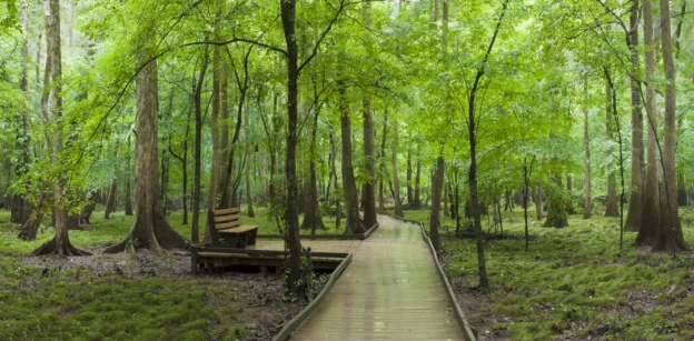 Congaree National Park