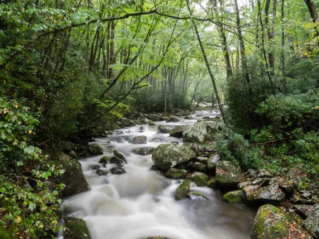 Great Smoky Mountains National Park