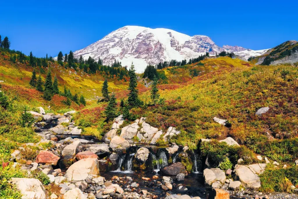 Mount Rainier National Park