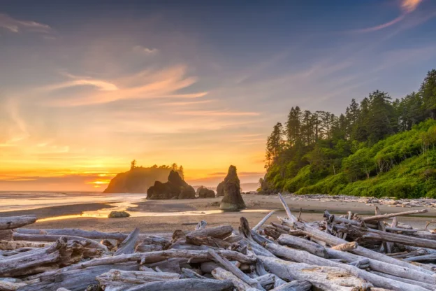 Olympic National Park