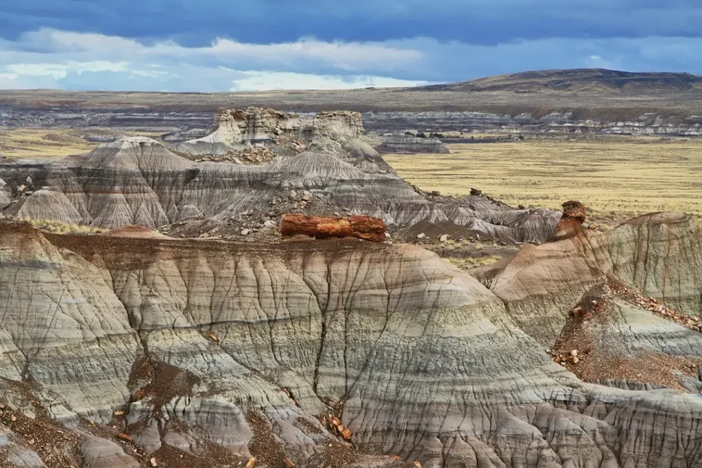 Petrified Forest National Park