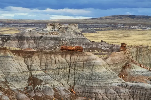 Petrified Forest National Park