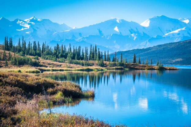 Denali National park